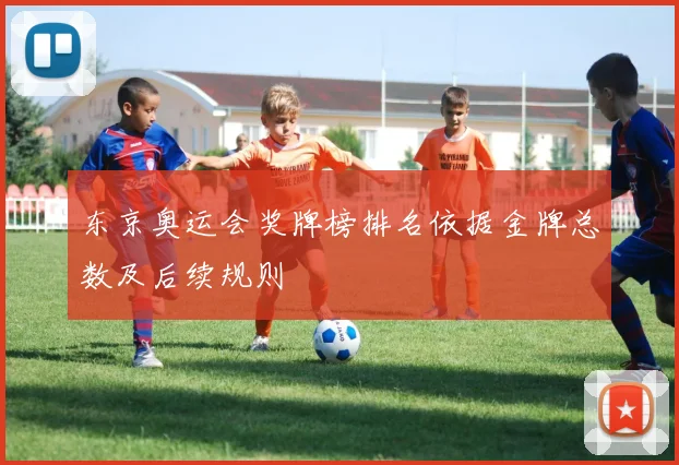 东京奥运会奖牌榜排名依据金牌总数及后续规则